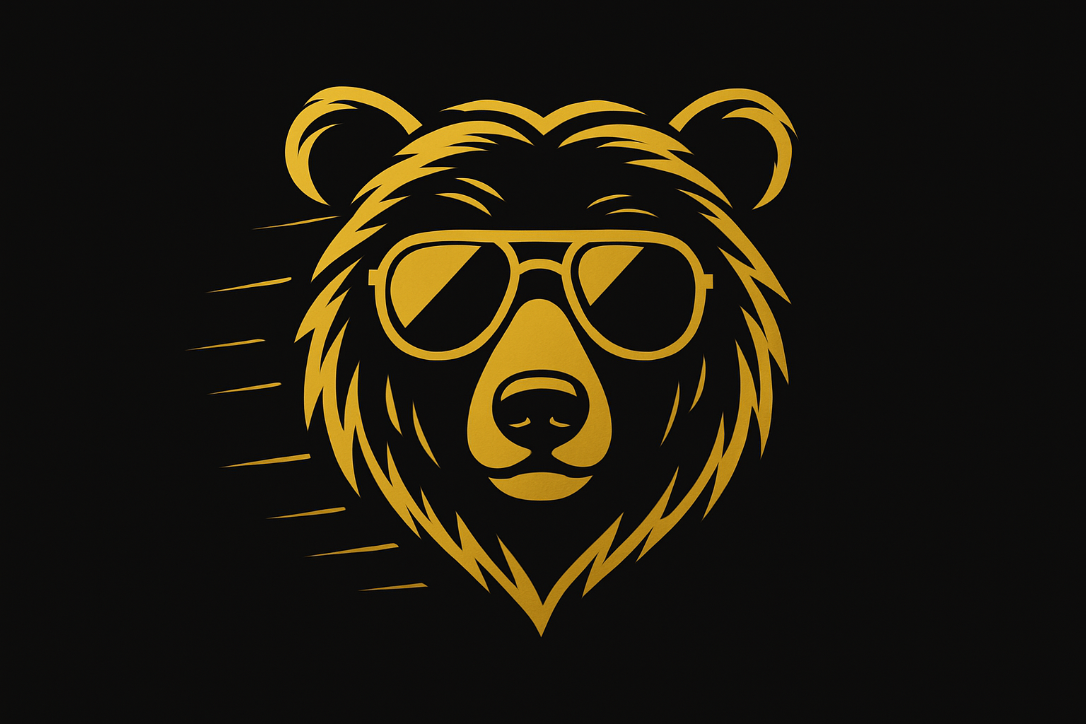 Der Erklärbär Icon